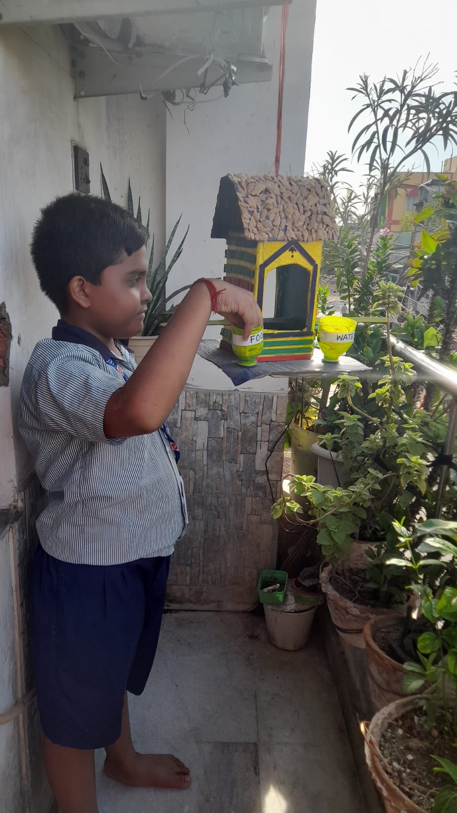 Handmade Bird Feeders